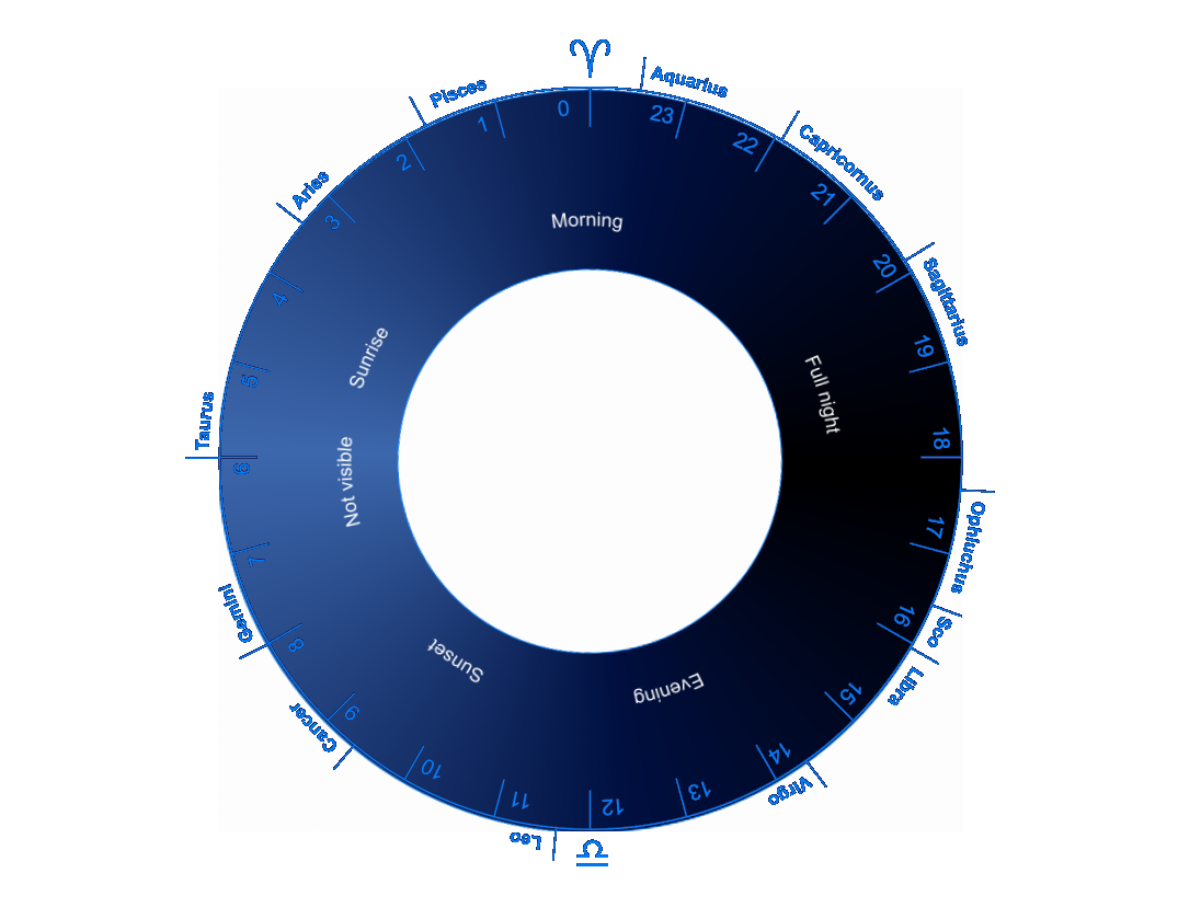 Planet Wheel