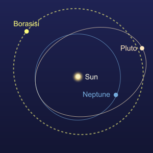 The orbit of Borasisi