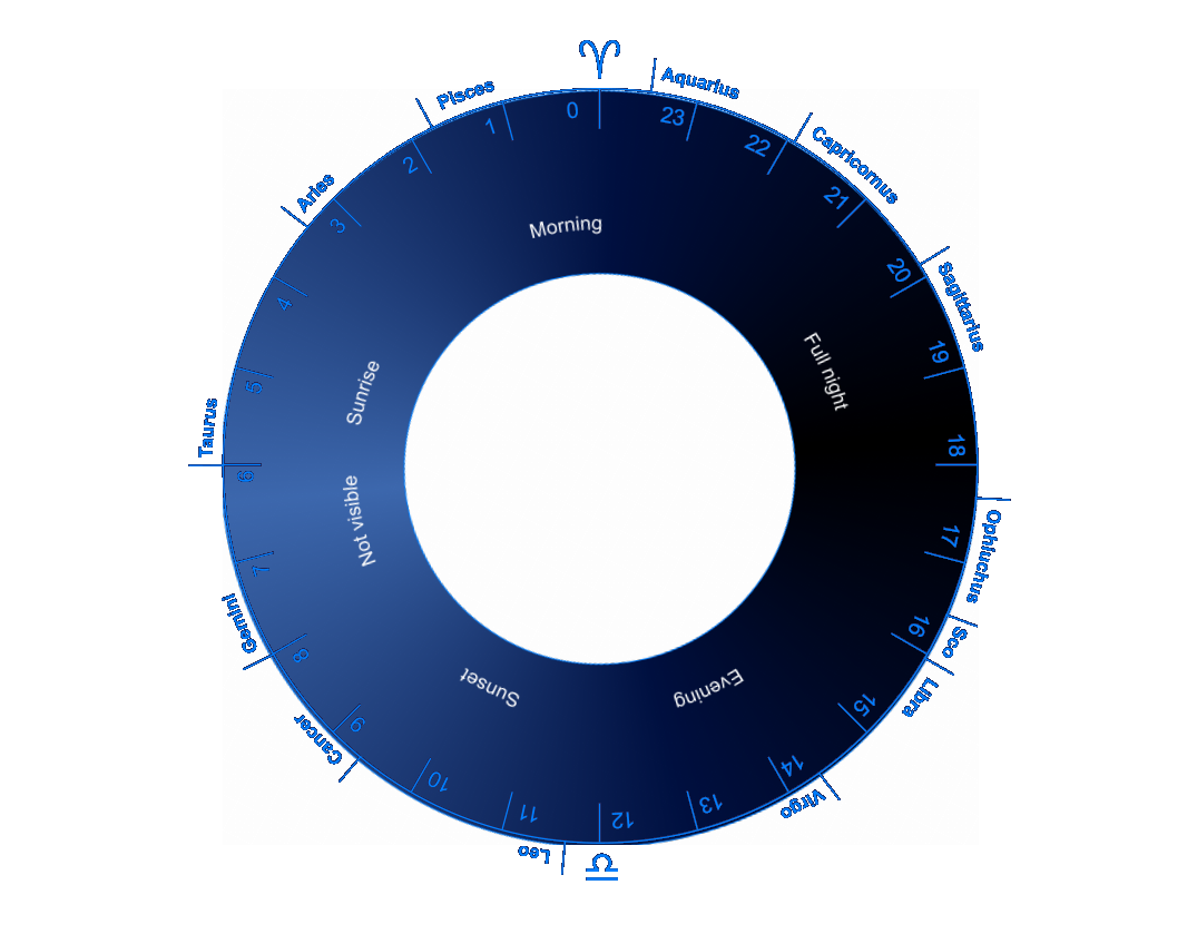 Planet Wheel